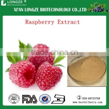 Best quality of raspberry extract / raspberry P.E for sale free sample supplied