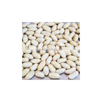 shandong groundnut blanched peanuts