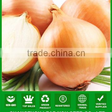 AON012 Huangguo f1 hybrid yellow onion seeds price