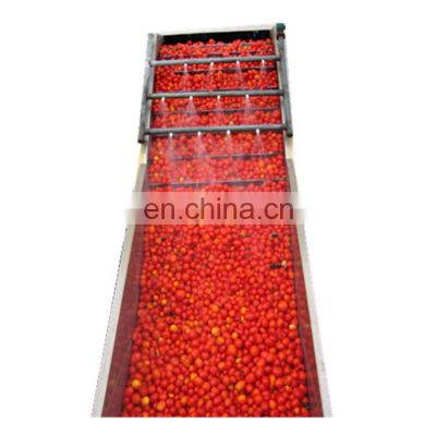 commercial complete tomato powder production line