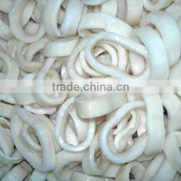 IQF frozen fresh squid ring/loligo squid ring