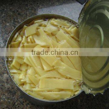 Good quality vegetable bamboo shoot