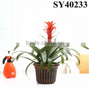 Round small PP plastic flower pot garden