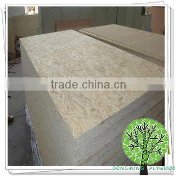 OSB Board from China Dongming