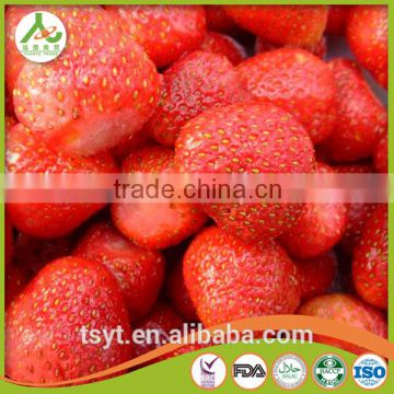 Frozen Strawberries America M13 25-35mm freezing strawberry
