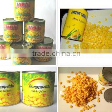 Wholesale Canned sweet corn 400g 800g