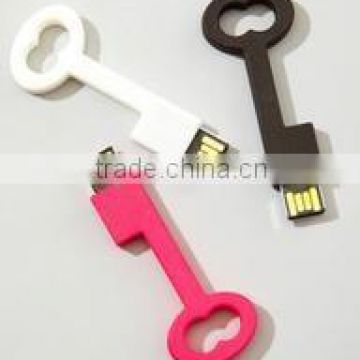 new arrival 2gb key shape usb flash drive factory price lowest price usb2.0 with customized logo