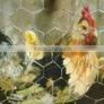 chicken cage/chicken mesh/pet cage/dog cage