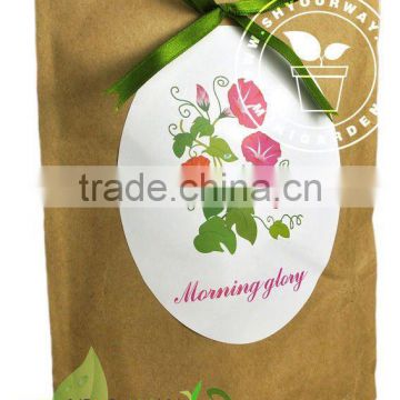 Kraft bag mini flower,mini plant,promotion product
