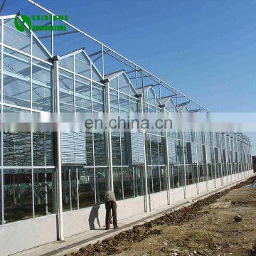 Hot sale hydroponic greenhouse glass greenhouse