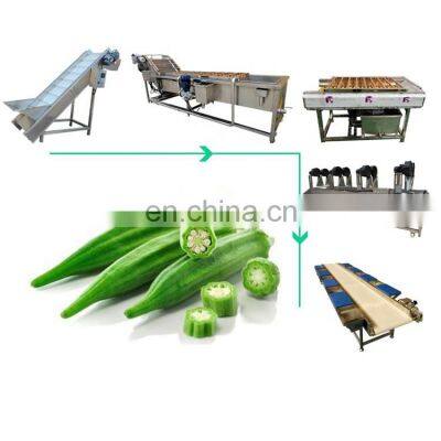 High Quality Fruits and Vegetables Washing and Drying Processing Line leaves vegetables Cleaning Production Line