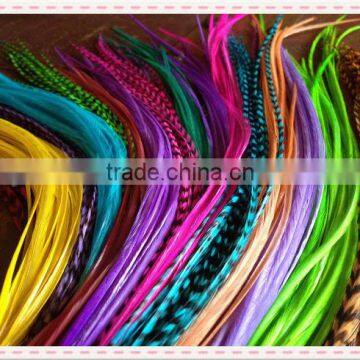 Thin Long party show colorful top sale real rooster feather hair extensions                        
                                                Quality Choice