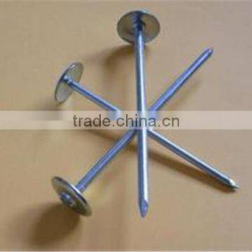 roofing nails galvanized nails for sale