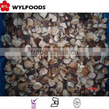 china good price frozen Boletus edulisfrozen mushroom
