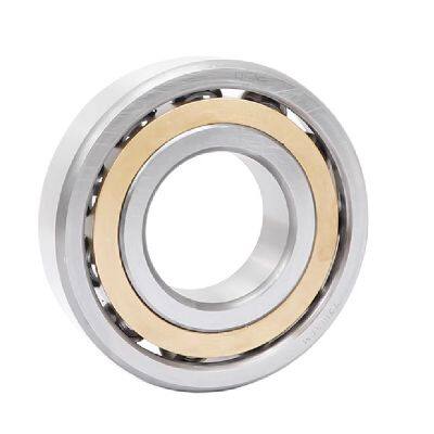 95bnr19xe Angular Contact Ball Bearings 9 Inch Enclosed Housing Slewing Drives Slewing Bearing Worm Gear for Rotary Platform and Timber Garb