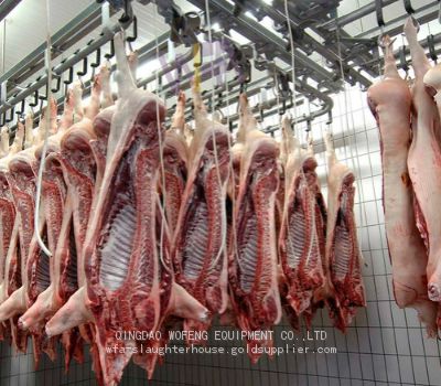 Hog Slaughter Line Pig Killing Machine Carcass Chilling Room For Slaughtering Equipment