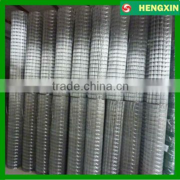 Hot dipped Galvanized Welded wire mesh fence
