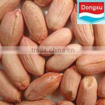 long peanut kernel