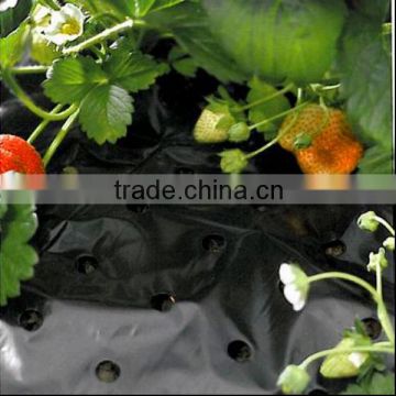 Black and silver mulching film for strawberry