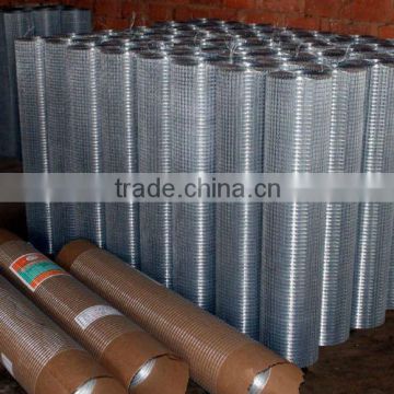 2x2 galvanized welded wire mesh for fence panel/ made in China high quality