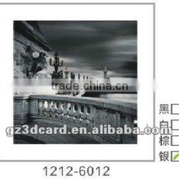 Originator unique 3d mininature picture 3d picture in China best sale white and blac design