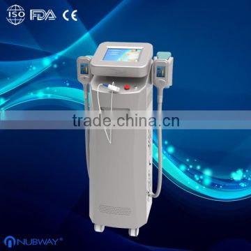 2014 bottom price 2 specialist cryolipolysis hand pieces vertical cryolipolysis cryotherapy beauty apparatus