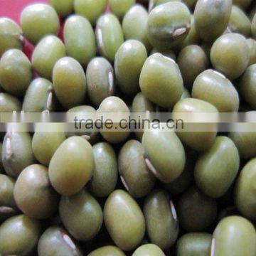 Green Mung bean beans