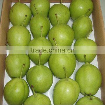 2016 new crops Fresh fragrant pear