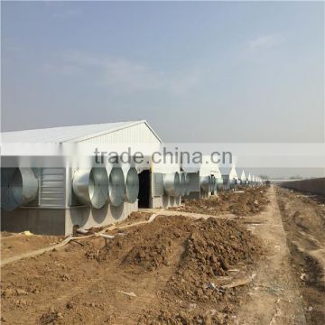 Complete controlled frame poultry chicken shed