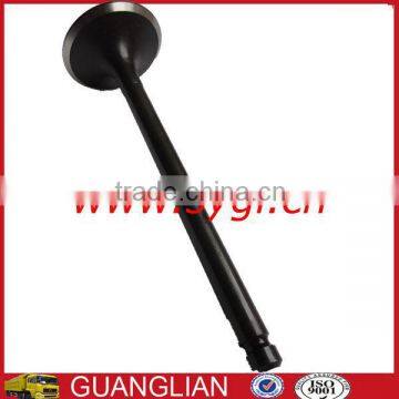 Intake Valve 3921444 6CT CNG engine parts