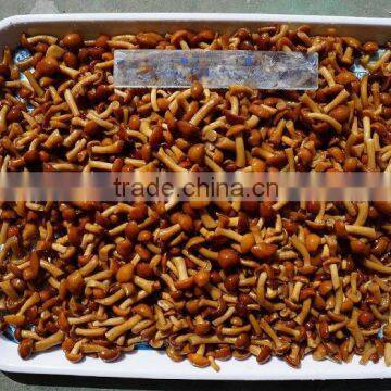 tined mushroom,high quality caned mushroom