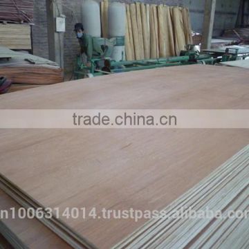Hot sell eucalyptus or acacia plywood from KEGO supplier in Vietnam