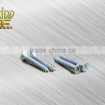 Countersunk Head Philips Self Tapping Screw