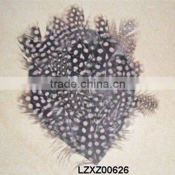 Guinea Fowl mixed feather pad LZXZ00626