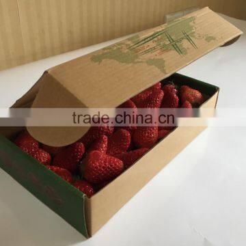 Hot sale recycle feature small brown kraft paper box for strawberry packaging