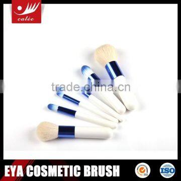Elegant style gift cosmetic brush set-6-piece