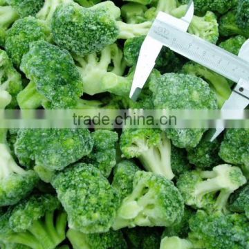 New crop frozen iqf broccoli