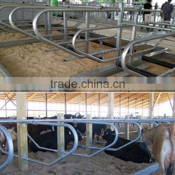 Hot dipped galvanized Cattle farm free stall for sale