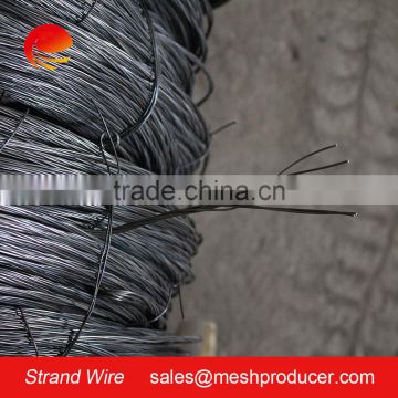 Black Annealed Strand Wire and Galvanized