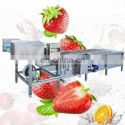 Auto Hot Sell Automatic Cleaner Industrial Commercial Air Bubble Washer Clean Fruit And Vegetable Wash Machine