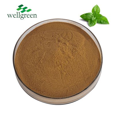 Mint Extract Natural Peppermint Extract Powder Menthol 99% Peppermint Extract