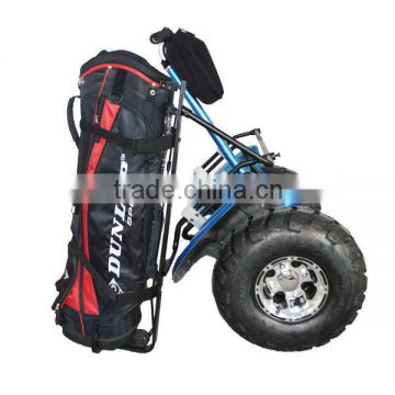 Two wheel electric scooter cheap golf cart for sale