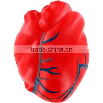 Heart with Veins Stress Ball