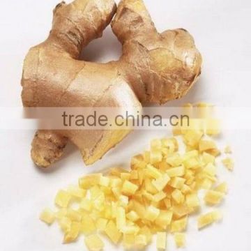 New crop fresh or dry ginger from Vietnam