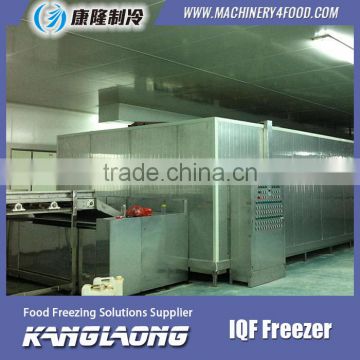 Large Output Continuous Blast Freezer With Good Quality