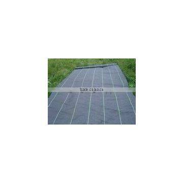 Hot sales high quality agricultural black woven barrier ground cover