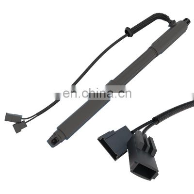 Factory Direct Wholesale Car Parts Electric Tail Gate Lifter Power Electric Tailgate Lift For X5 E70 LCI 2007-2013 LH