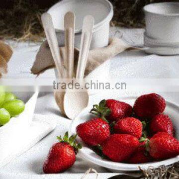 Eco friendly bagasse bowl