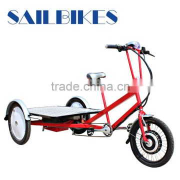 europe motorized carrier bike