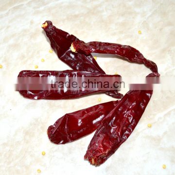 Manufacturer of dry red puya jinta chili